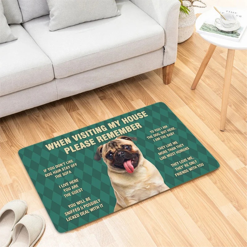 Dog Funny Door Mat Small Carpe - đánh giá và giá Home Bathroom Reno